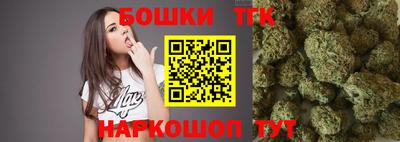 прущие крисы Будённовск