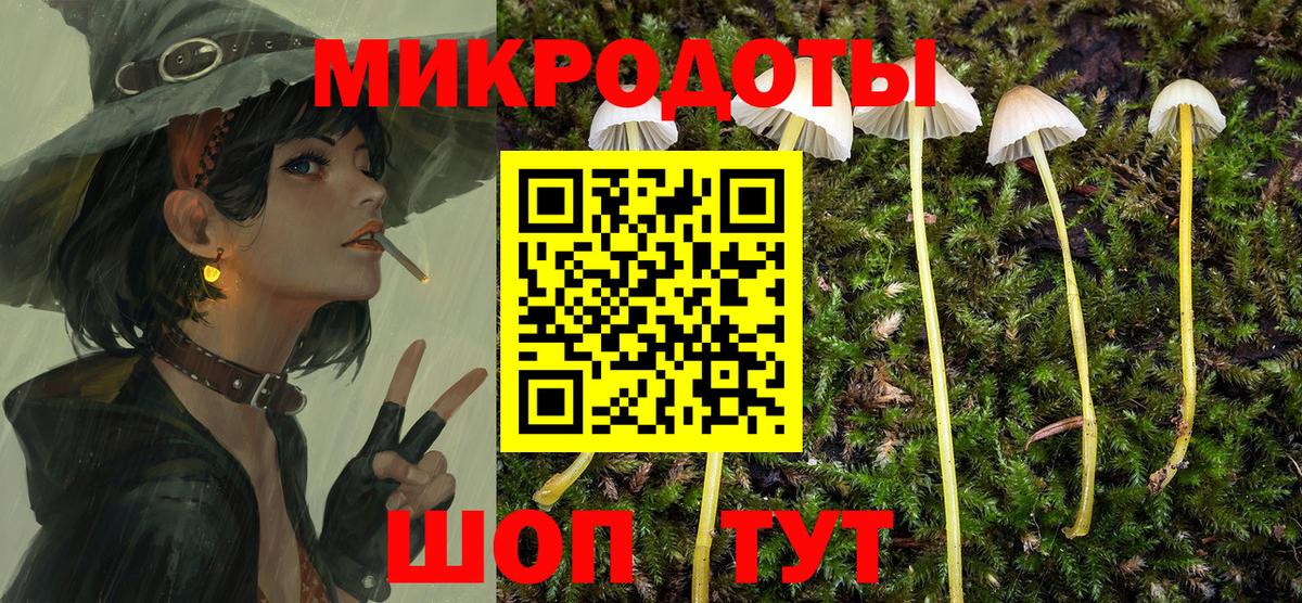 Галлюциногенные грибы GOLDEN TEACHER  купить наркотики цена  Галлюциногенные грибы MAGIC MUSHROOMS  Нарткала  Вход с VPN 